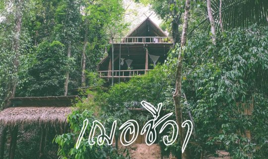 cover Chiang Mai's captivating charm during the hot season invites a refreshing retreat at Cher Cheeva.