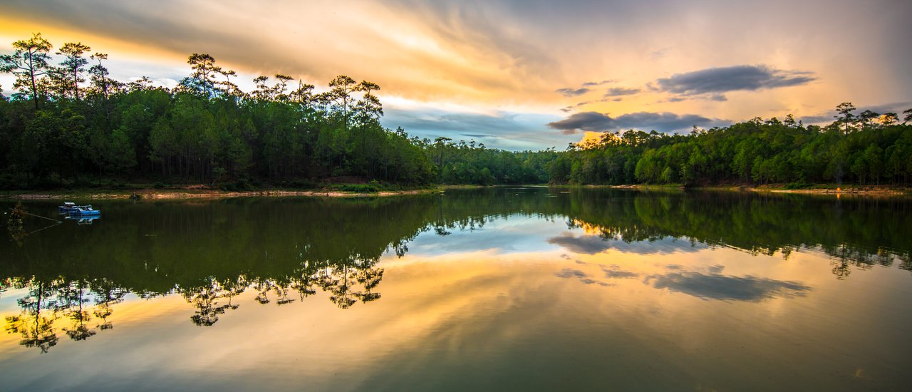 cover Explore the Pine Forest of Wat Chan Moon in Galyani Vadhana District, Chiang Mai Province.