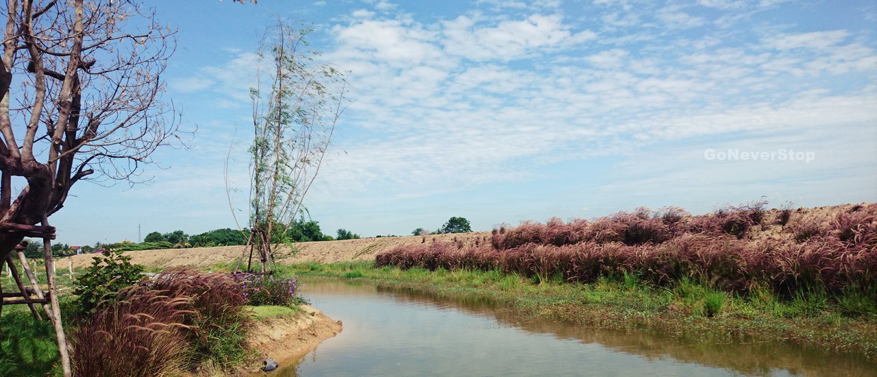 cover ภารกิจตามล่าไข่ทองคำ