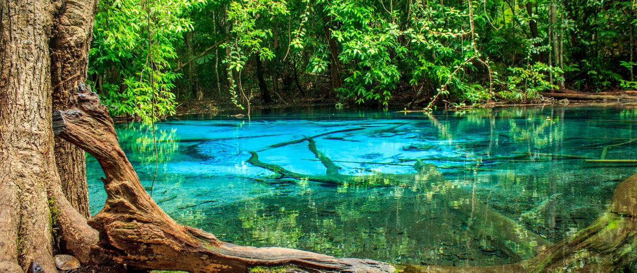 cover "Exploring Krabi in the Rainy Season: A Review of Our Adventurous Trip" 
This review recounts our experience exploring Krabi during the rainy season, offering insights into the potential joys and challenges of such a trip.