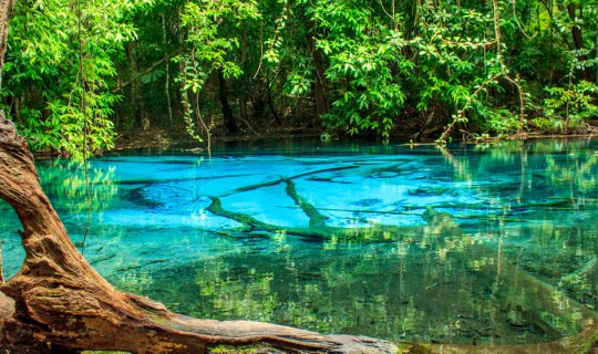 cover "Exploring Krabi in the Rainy Season: A Review of Our Adventurous Trip" 
This review recounts our experience exploring Krabi during the rainy season, offering insights into the potential joys and challenges of such a trip.