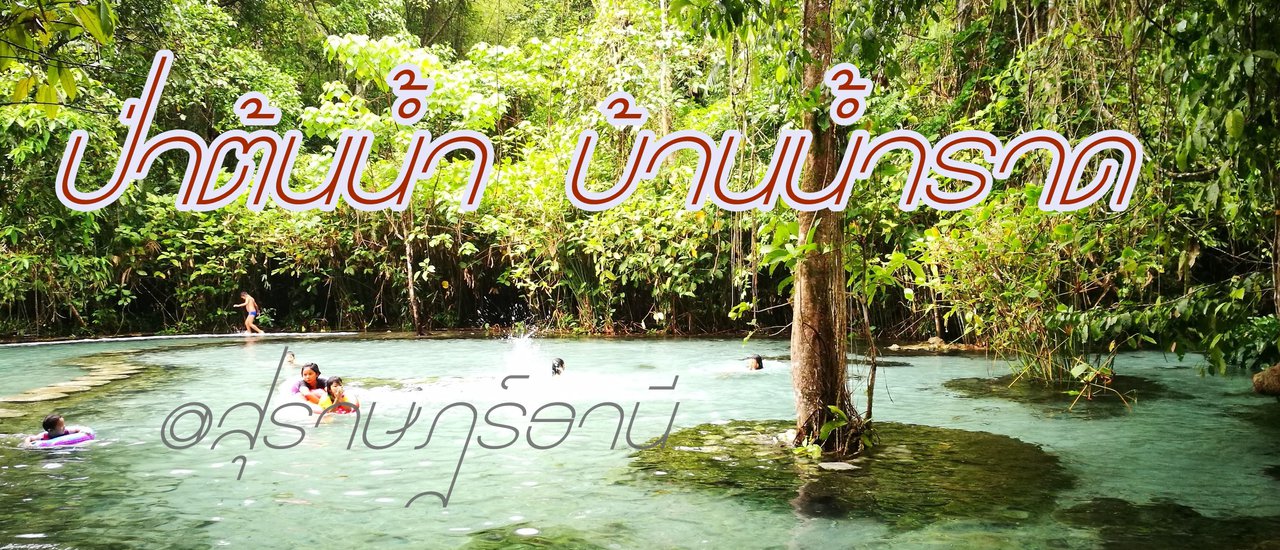 cover Crystal-Clear Water Flows Cool at the Headwaters of Baan Nam Rad Forest