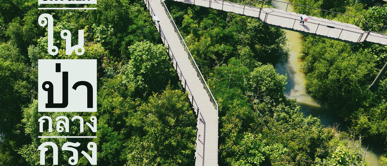 cover In search of "Oxygen" purity at the "Forest in the City" project by PTT.