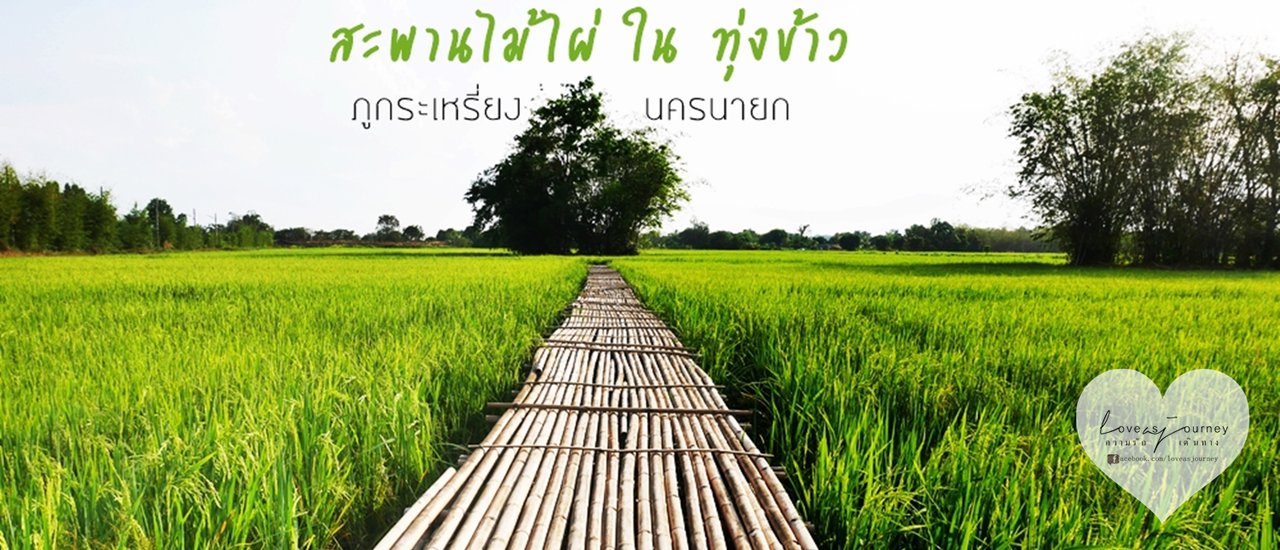 cover Bamboo Bridge in Rice Field :: Nakhon Nayok