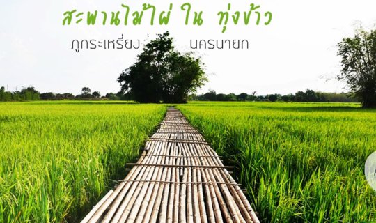 cover Bamboo Bridge in Rice Field :: Nakhon Nayok