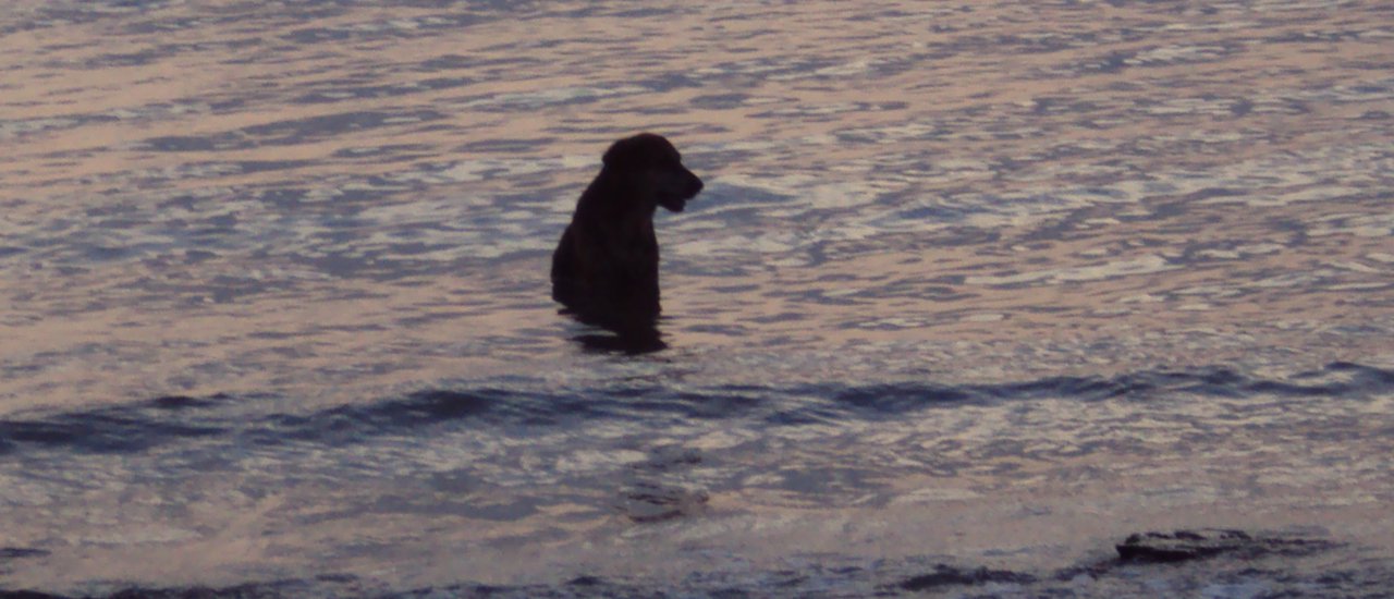 cover Stranded on the Beach at Koh Mak Resort
ติดเกาะ(Tid-gote) - Stranded
เลาะหาด(Leur-had) - Along the beach
@บ้านเกาะหมากรีสอร์ท(Baan Koh Mak Resort) - At Koh Mak Resort
