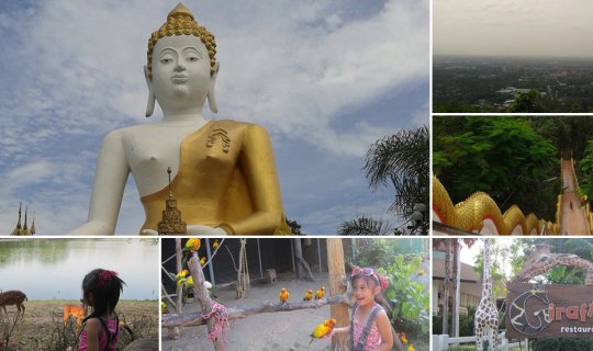 cover Worship the Lord Than Jai at Wat Phra That Doi Kham and embark on an adventure at Chiang Mai Night Safari.