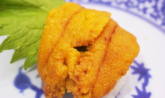 cover Foodies Must Visit "Kura Sushi": "All Sushi Plates Just 100 Yen" Delicious, Fun, and Affordable in Osaka