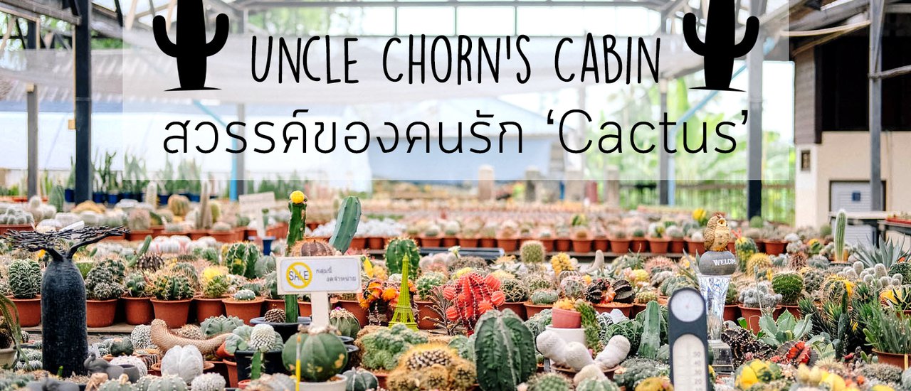 cover บุกกระท่อมลุงจรณ์ สวรรค์ของคนรัก'Cactus' สายกระบองเพชรห้ามพลาด!!