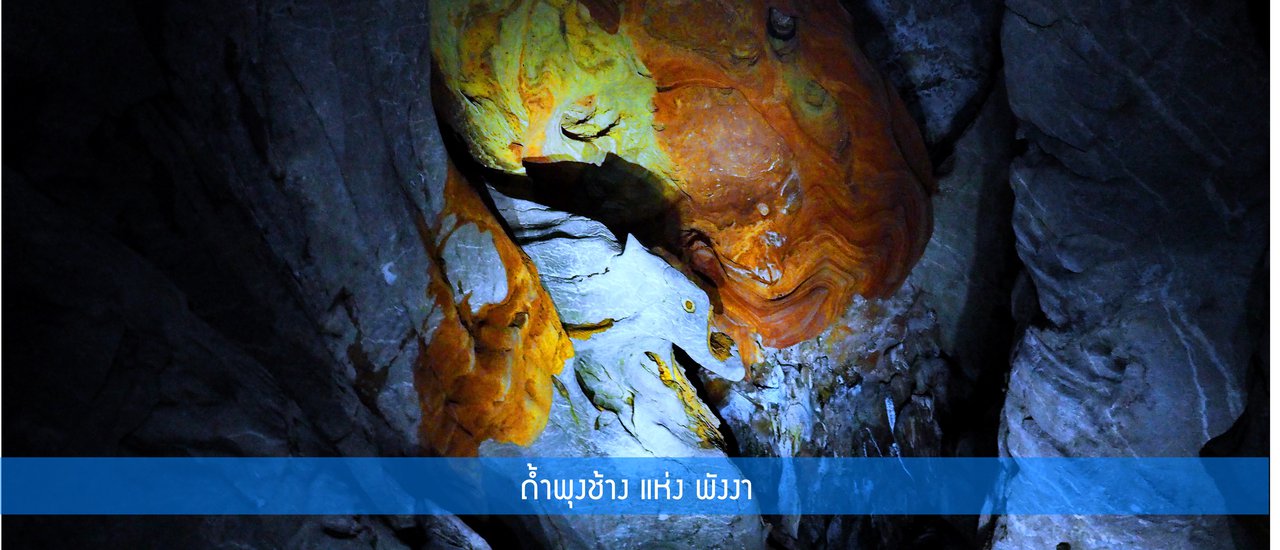 cover Hello Phang Nga: The Cave of the Elephant's Belly in Phang Nga Province

ถ้ำพุงช้าง แห่ง พังงา
The Cave of the Elephant's Belly in Phang Nga Province