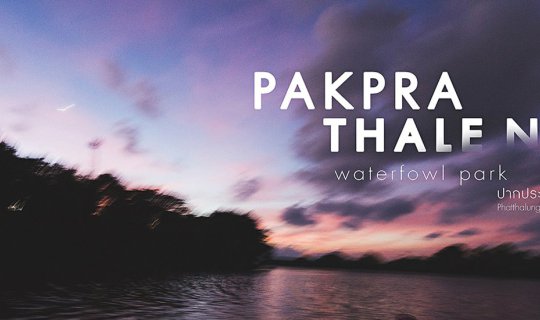 cover Pakpra Canal to Thale Noi, Phatthalung, Thailand.