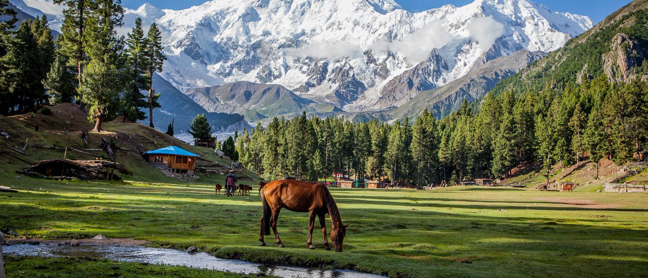 cover 3 Magical Seasons - Pakistan