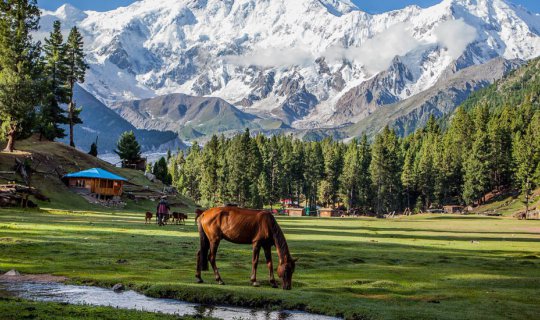 cover 3 Magical Seasons - Pakistan
