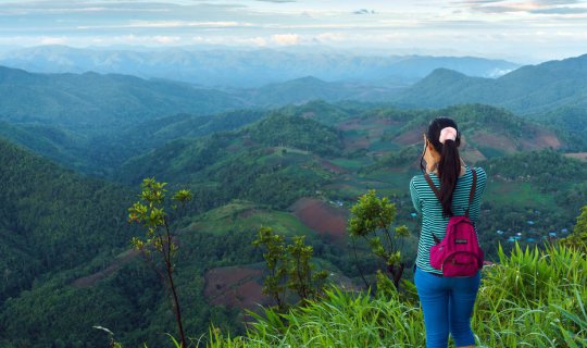 Cover Chasing the Sea of Mist: Mount Thevada, Phu Toei National Park, Suph...