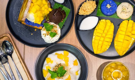 cover The Mango Garden: A Paradise for Mango Lovers