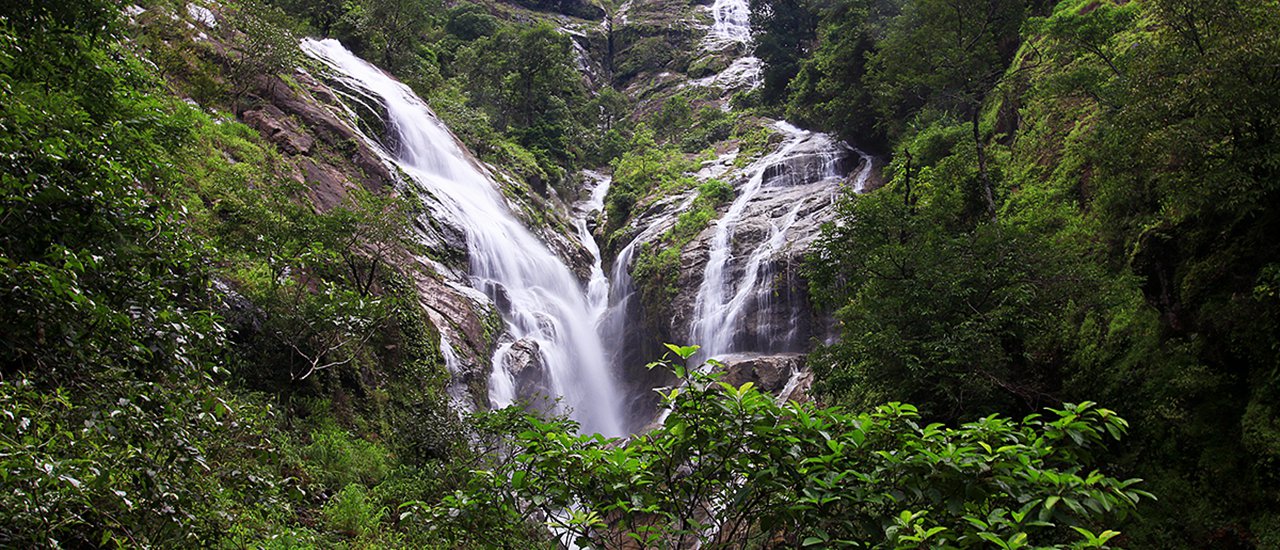 cover 【Pitugro Waterfall】 the White Heart of Umphang Forest