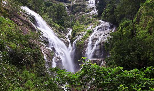 cover 【Pitugro Waterfall】 the White Heart of Umphang Forest