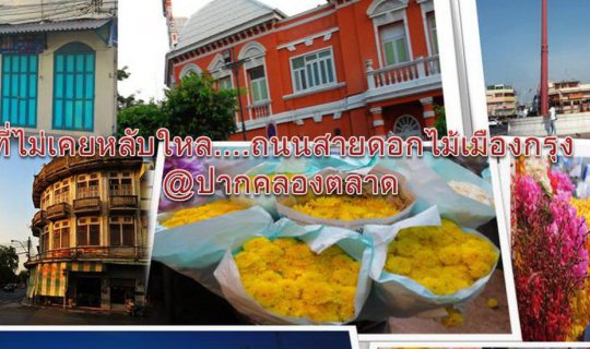 cover A sleepless night... The flower road of the capital at Pak Khlong Talat