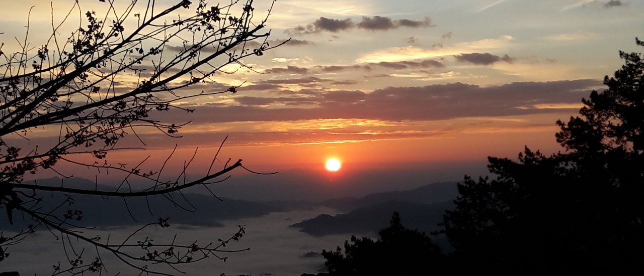 cover Admiring the Sea of Mist, Teasing the Cherry Blossoms (Thailand), Golden Rays Dancing at the Edge of the Sky at Huai Nam Dang