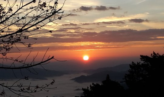 cover Admiring the Sea of Mist, Teasing the Cherry Blossoms (Thailand), Golden Rays Dancing at the Edge of the Sky at Huai Nam Dang
