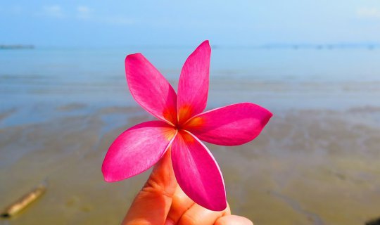 cover Pattaya This Time... Checking in 4 Places That Are Super Heartwarming