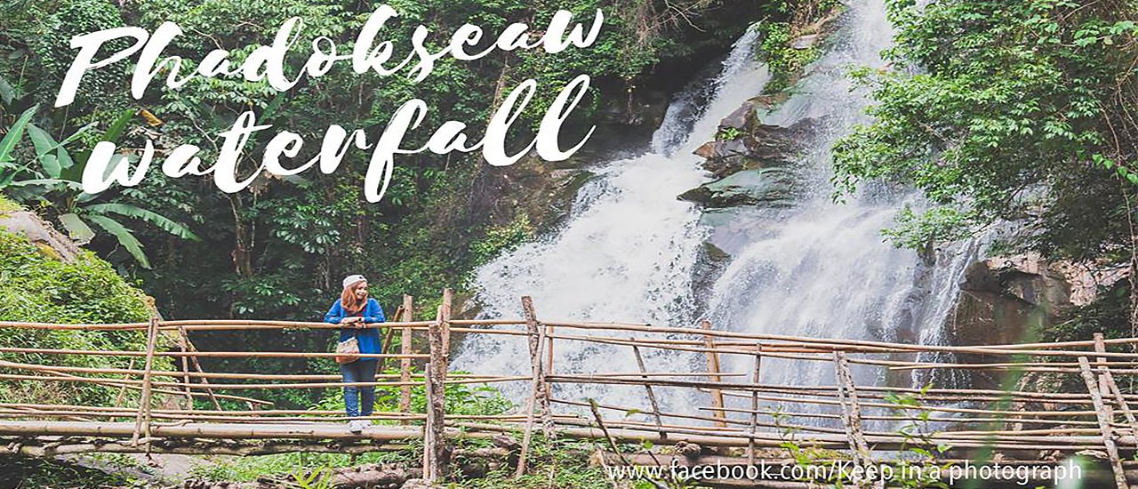 cover :::Enthralled by the cascading beauty of Pha Dok Siew Waterfall, we embarked on a captivating forest hike, culminating in a delightful coffee break at the charming Baan Mae Klang Luang.:::