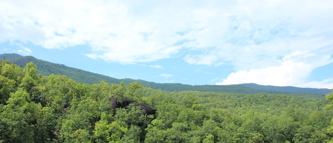 cover H. Hod Tatao:Aob Luang, lush green.