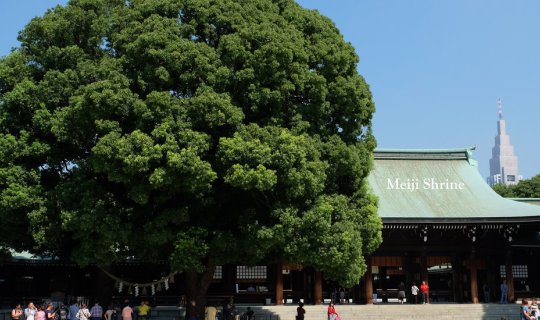 Cover Meiji Shrine: Meiji Shrine...