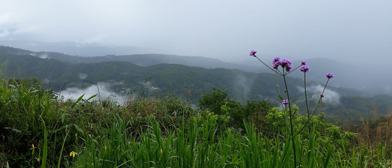 cover Mons Jaem in the Drizzle: A Seasonal Beauty
The gentle drizzle of the rainy season paints a unique picture of Mons Jaem, showcasing the beauty of nature's changing moods.