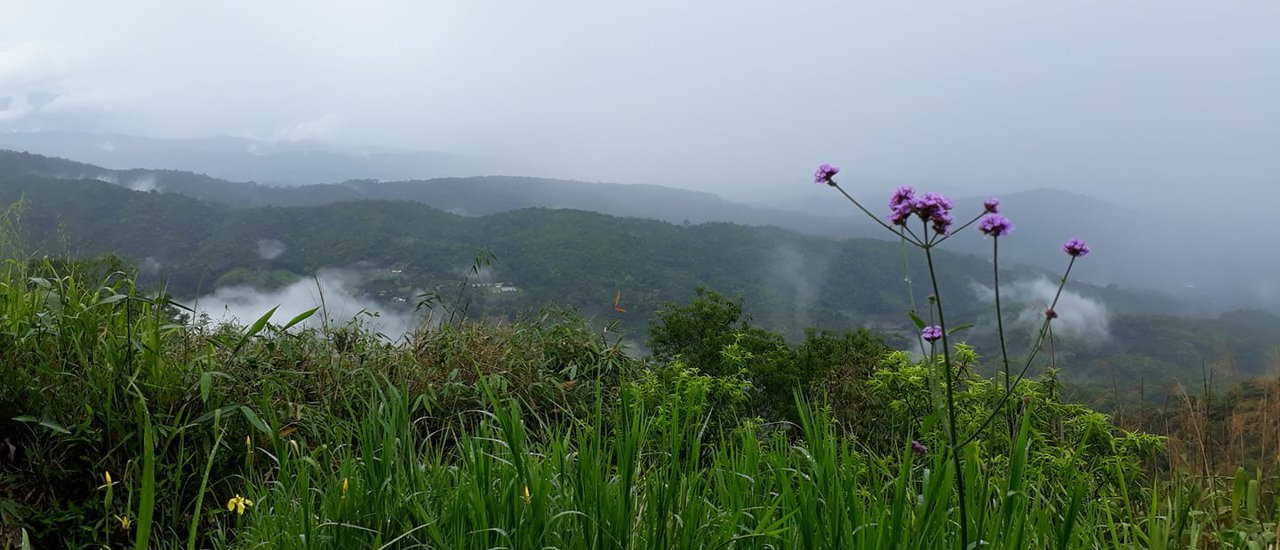 cover Mons Jaem in the Drizzle: A Seasonal Beauty

The gentle drizzle of the rainy season paints a unique picture of Mons Jaem, showcasing the beauty of nature's changing moods.