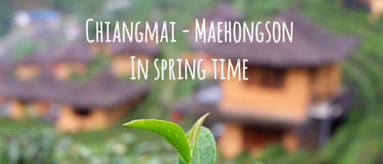 cover Chiang Mai - Mae Hong Son in Springtime