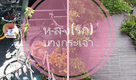 cover Love... Bang Krachao