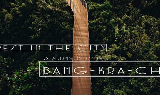 cover One-Day Trip: Morning Bike Ride in Bang Krachao and Evening Sunset Watch in the Urban Forest