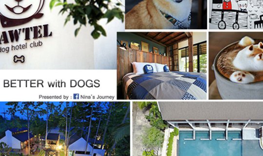 Cover Pawtel: Dog Hotel Club - A Haven for Dog Lovers...