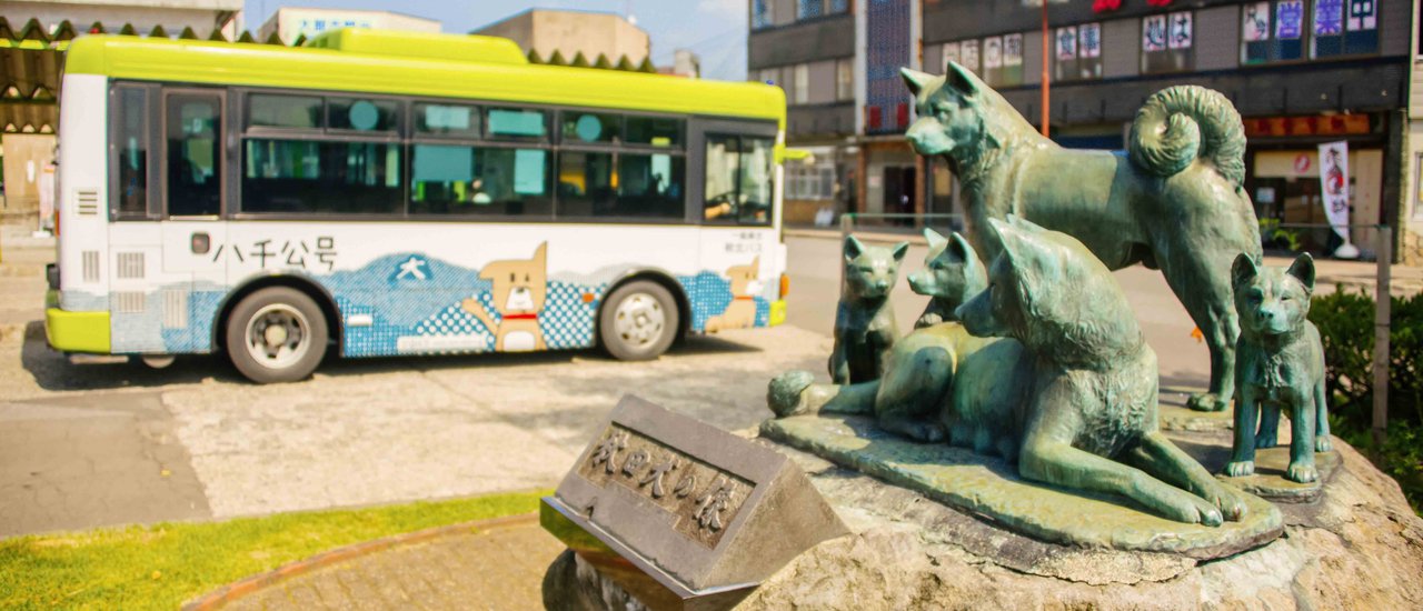 cover Seeking 'Hachiko' in his hometown, Odate City, Akita Prefecture.