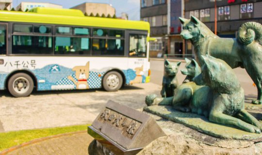 Cover Seeking 'Hachiko' in his hometown, Odate City, Akita Prefecture....