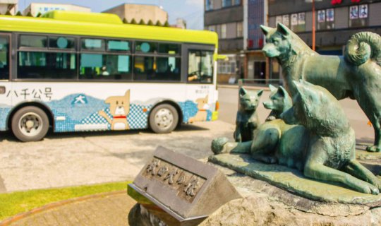 cover Seeking 'Hachiko' in his hometown, Odate City, Akita Prefecture.