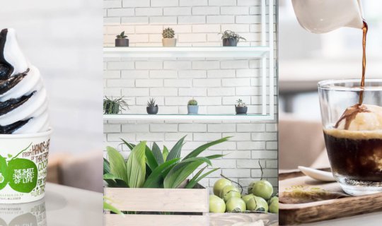 Cover All Coco: A Coconut Lover's Paradise
Pigureviewintroduces All Coco,...