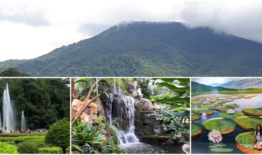 Cover Visit the Queen Sirikit Botanic Garden, the largest botanical garden...