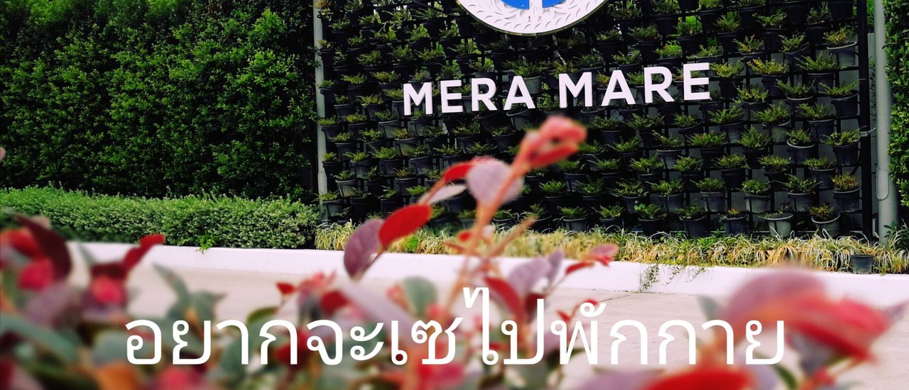 cover Hotel by the Sea
... A place to rest and rejuvenate.