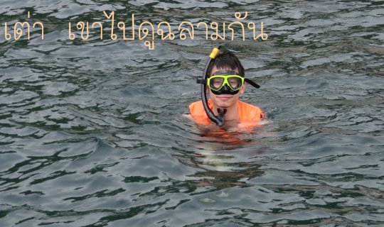 Cover Koh Tao (Chumphon) - Shark Watching (2017-07-06)...