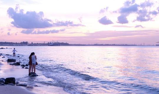 Cover เมื่อฉันไปตามหาธรรมชาติที่สิงคโปร์...