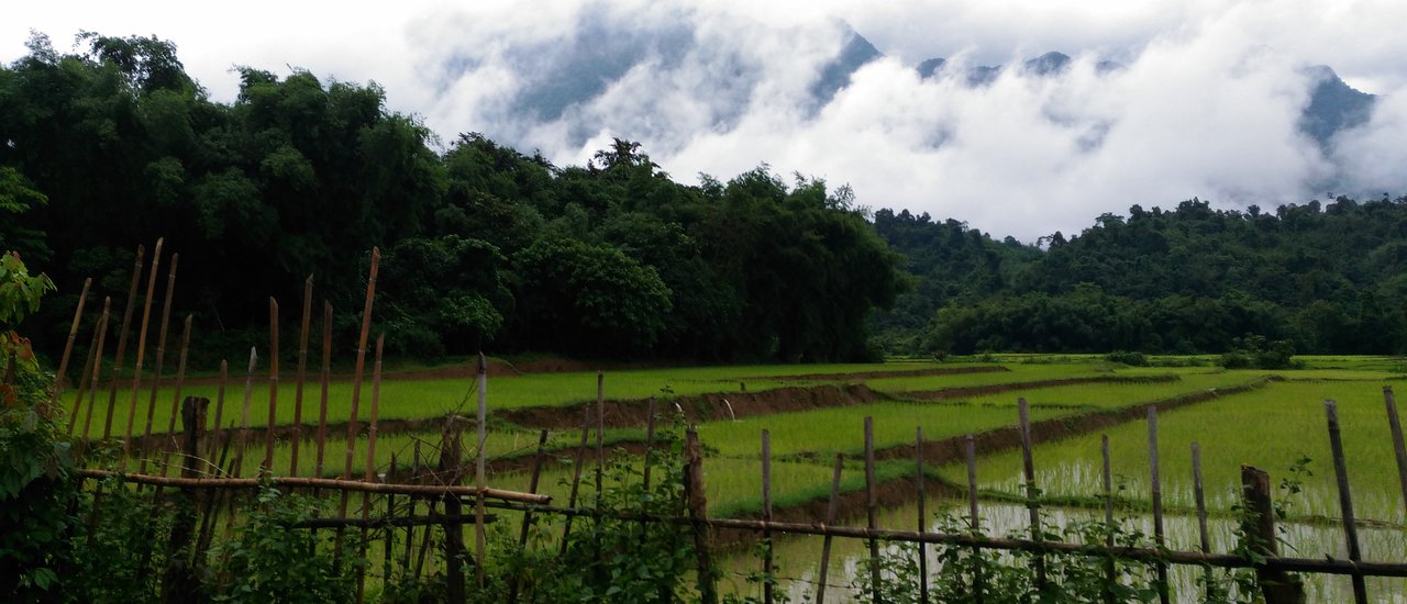 cover (We) tangled (at) Vang Vieng: The first day, we got it.