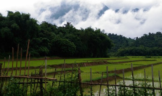 cover (We) tangled (at) Vang Vieng: The first day, we got it.