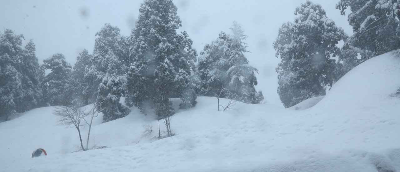 cover Check in... in the chilly TAKAYAMA JAPAN ALPS SNOW WALL