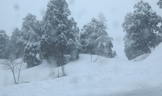 Cover Check in... in the chilly TAKAYAMA JAPAN ALPS SNOW WALL...