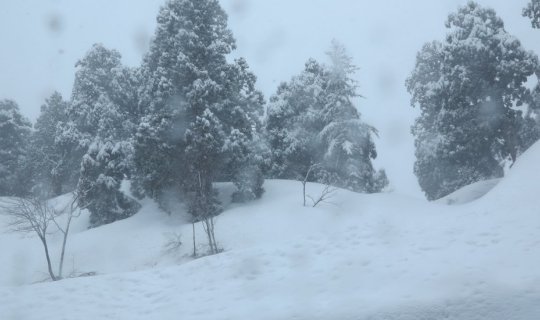 cover Check in... in the chilly TAKAYAMA JAPAN ALPS SNOW WALL