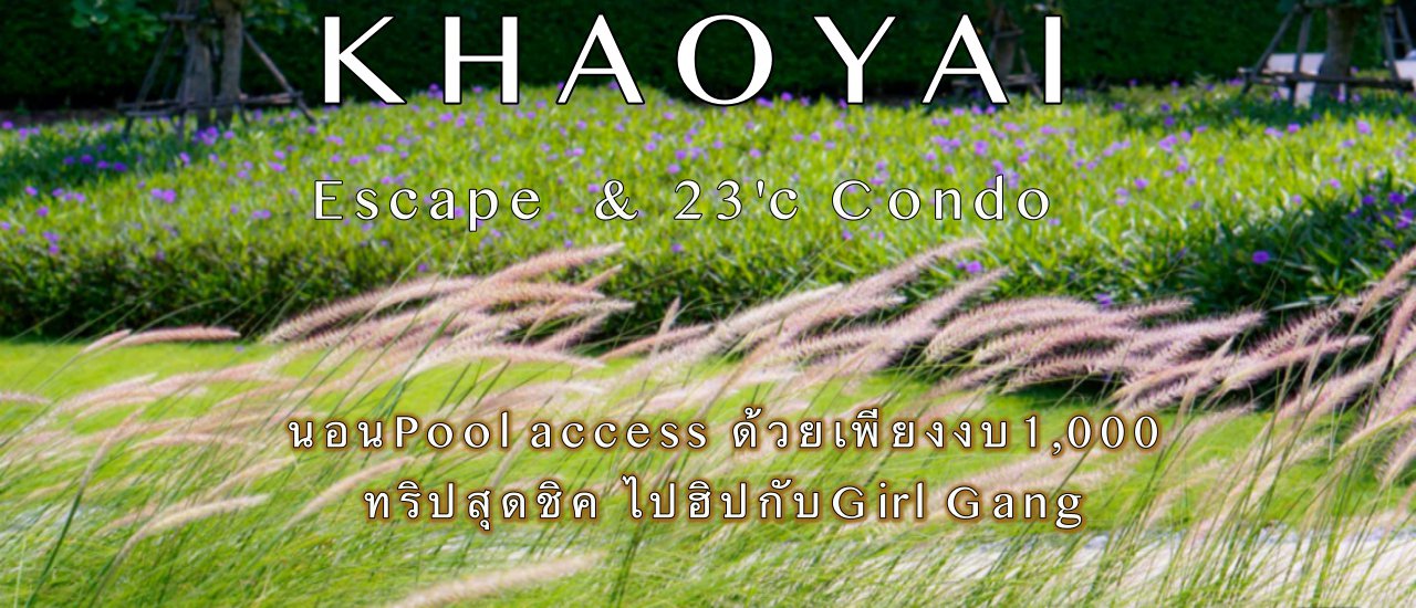cover A Chic Escape to Khao Yai: A Hip Getaway with the Girl Gang at a Pool Access Villa for Only 1,000 Baht
Indulge in a stylish and affordable getaway to Khao Yai with your girl gang, complete with pool access, for just 1,000 Baht.