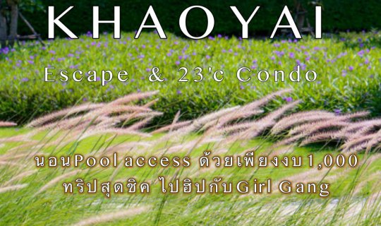 cover A Chic Escape to Khao Yai: A Hip Getaway with the Girl Gang at a Pool Access Villa for Only 1,000 Baht
Indulge in a stylish and affordable getaway to Khao Yai with your girl gang, complete with pool access, for just 1,000 Baht.