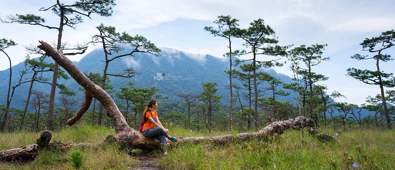 cover Phu Soi Dao: Heaven of the Na-Klang Flower Fields